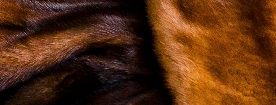 A photo of a brown fur
