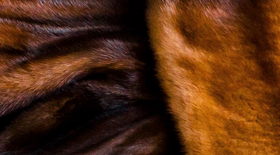 A photo of a brown fur