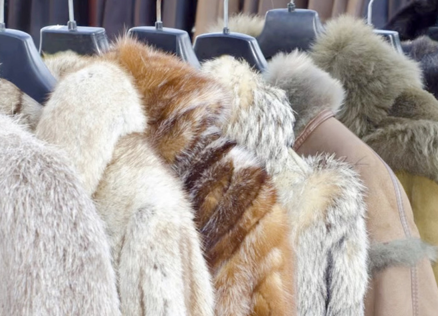 Fur Sales